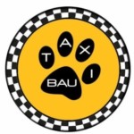 Foto del profilo di Taxi Bau